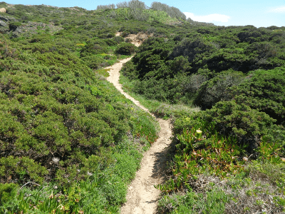 Caminhando na Praia da Samarra
